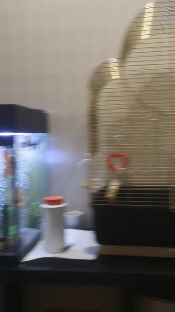 VID_20250223_125005.mp4 смотреть онлайн