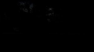 사랑이란 -  강수지(Ampapa a1진공관프리)