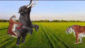 palaeoloxodon antiquus vs caspian tiger