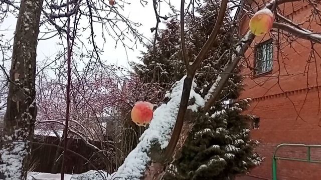 Ноябрь 2021 Подмосковье смотреть онлайн