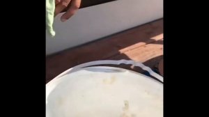 Рыба Фугу кусает жесть.