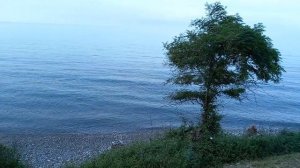 Остановка ВВС.  Чемитоквадже.