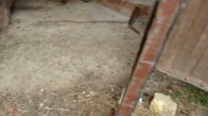 Позиция ПВО с-125 часть2