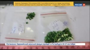 Охотники за самоцветами:  кто и как добывает минералы - Россия Сегодня