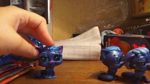 Звёздные котята. Повторка:( имя кисы в описании