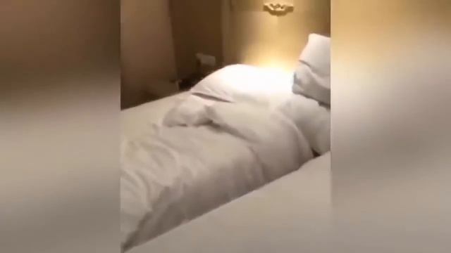 Rec Lama#5 Funny MyCoubs смотреть онлайн