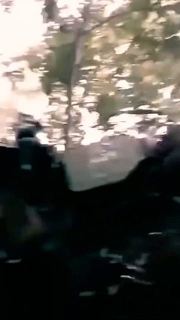 Работайте братья🇷🇺🇷🇺🇷🇺🇷🇺🇷🇺🇷🇺🇷🇺🇷🇺🇷🇺🇷🇺 смотреть онлайн