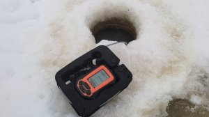 Подскажите, как на течение ловят судака.