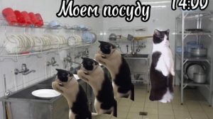 Пов: Мой обычный день в худшем лагере 😭