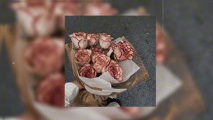 лампабикт, Элли на маковом поле - немерено (speed up)