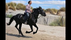 Ехал цыган по селу верхом...