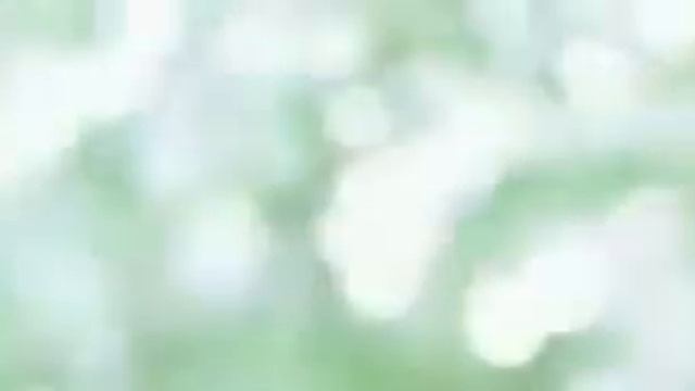 Bvlgari Omnia Green Jade Reklamı смотреть онлайн