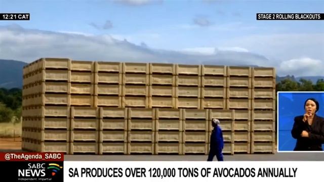South Africa produces over 120 000 tons of the avocado crop annually смотреть онлайн