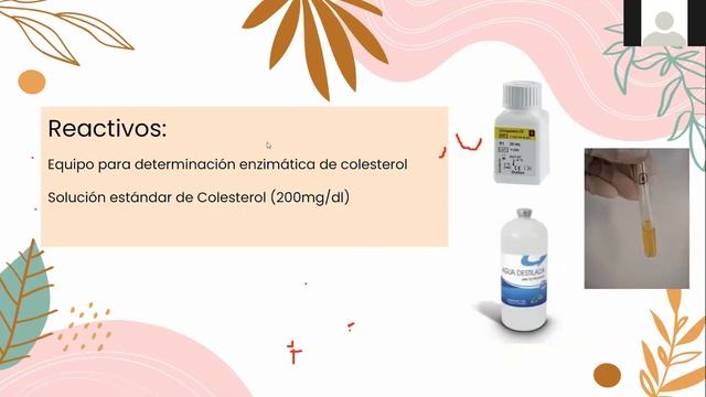 Laboratorio de bioquímica II - Practica 8 cuantificación de colesterol total en suero sanguíneo смотреть онлайн