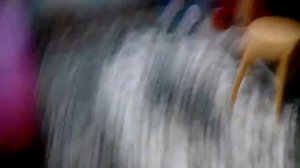 Вызывает гномика исполняющего желания