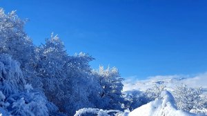 Такого снега на Юге не было с прошлого века.