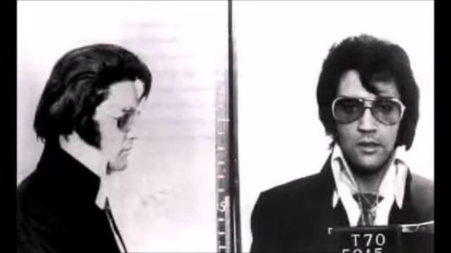 Lavender Orange Perform An Elvis Classic! смотреть онлайн