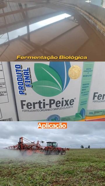 Ferti-Peixe: A Melhor Proteína Animal e Matéria Orgânica para a Pecuária смотреть онлайн