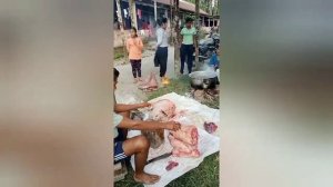Pig slaughtering device in humane way/jong john