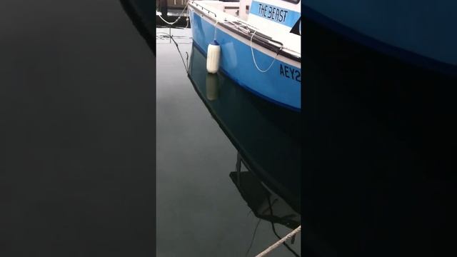 Blackfish on Bread смотреть онлайн