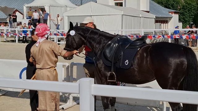 Международные соревнования по конной стрельбе из лука