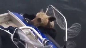 ГИМН РЫБАКОВ