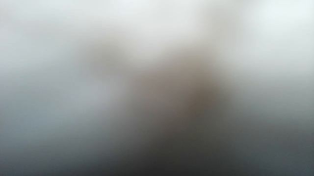 пов: когда хочешь снять видео где надо драться, и что получается: смотреть онлайн