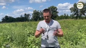 Кавун Лоріан. Огляд гібриду | Овочі.Смак успіху