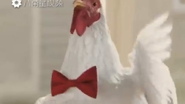 2017 С НОВЫМ ГОДОМ!!!!! Год петуха🐓 смотреть онлайн