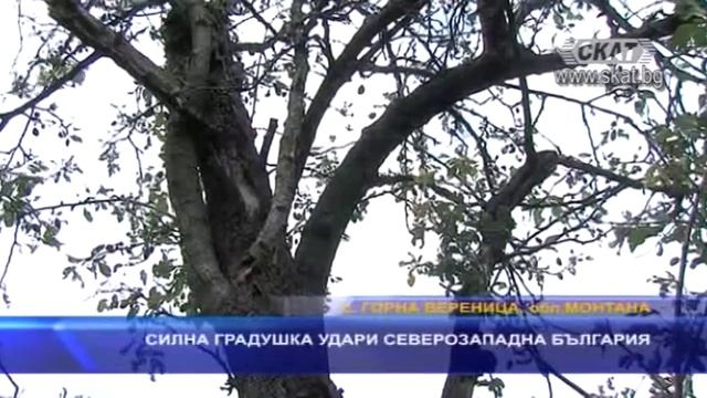 Телевизия СКАТ