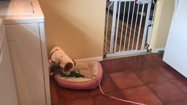 Tara's Day Train: 2 смотреть онлайн