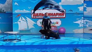 Дельфинарий Сочи Парка