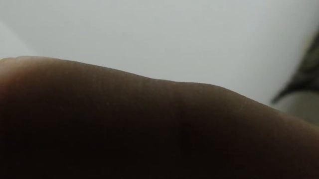 Вот так голубенок пробивается на свет. Удары клювом на слух подобие ультрозвука. Послушайте. смотреть онлайн