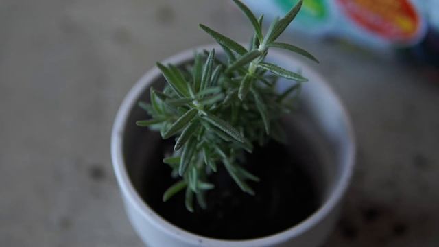 Meon Cafe | Rosemary | Yuzu Tea | Cafe at Night | Silent Vlog