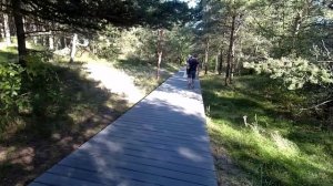 Куршская коса.mp4