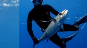 Красное море