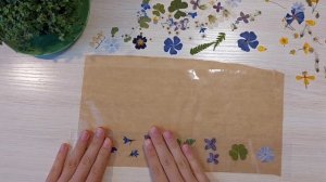 ~ DIY Як зробити наліпки з сухоцвітів🌼🌺/ Саморобні наклейки🌱/ Как сделать наклейки из цветов