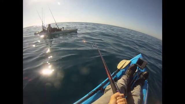 Yellowtail Fishing, La Jolla, CA смотреть онлайн