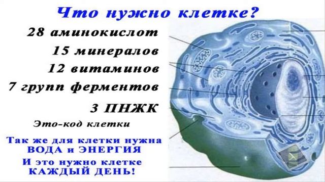 Сосновая Пыльца для вашего здоровья .