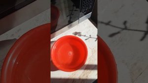 Проверка на подлиность формованного янтаря и натурального