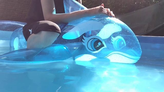 Intex Bleu dolphin in de pool. смотреть онлайн