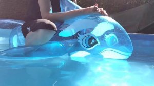 Intex Bleu dolphin in de pool.