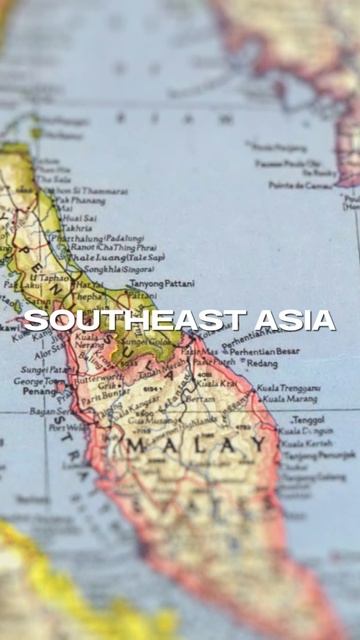 The Daring World of Fugu Sushi – Unveiled! #SushiLovers #DeliciousBites #GlobalCuisine смотреть онлайн