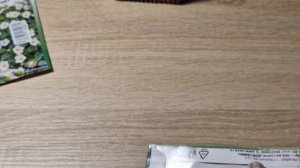 Как сажать Экзакум. Выращиваем экзакум из семян.