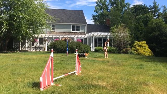 SAPPHIRE OC 3.2 062116 смотреть онлайн