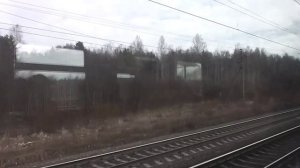 Мга - Сологубовка (2016 год)