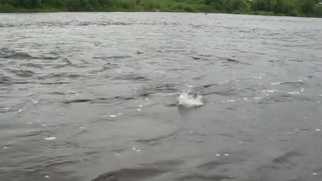 шонгуй 2012-2 смотреть онлайн