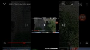 Ужас Живодерки жестоко убили котенка