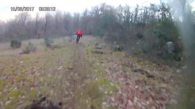 BOAR BIKE - 10/2/19 - discesa da Monte Radicino - By Fabio G.