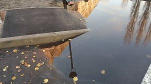 Ссаные апгрейдеры тротуара на проспекте Комсомольский